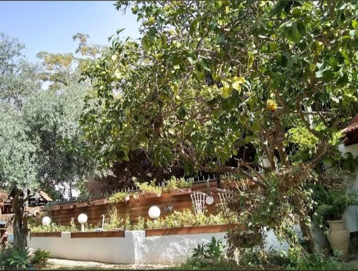 Czarina Cabin הבקתה הקיסרית והדירה הקיסרית Czarina Apartment Caesarea Eksteriør bilde