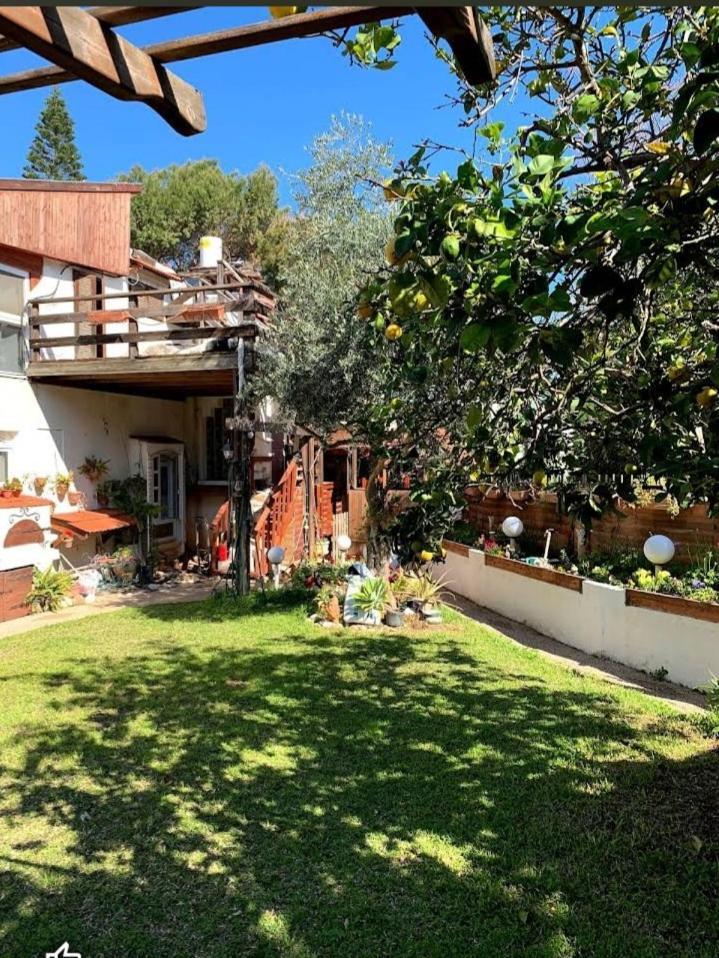 Czarina Cabin הבקתה הקיסרית והדירה הקיסרית Czarina Apartment Caesarea Eksteriør bilde